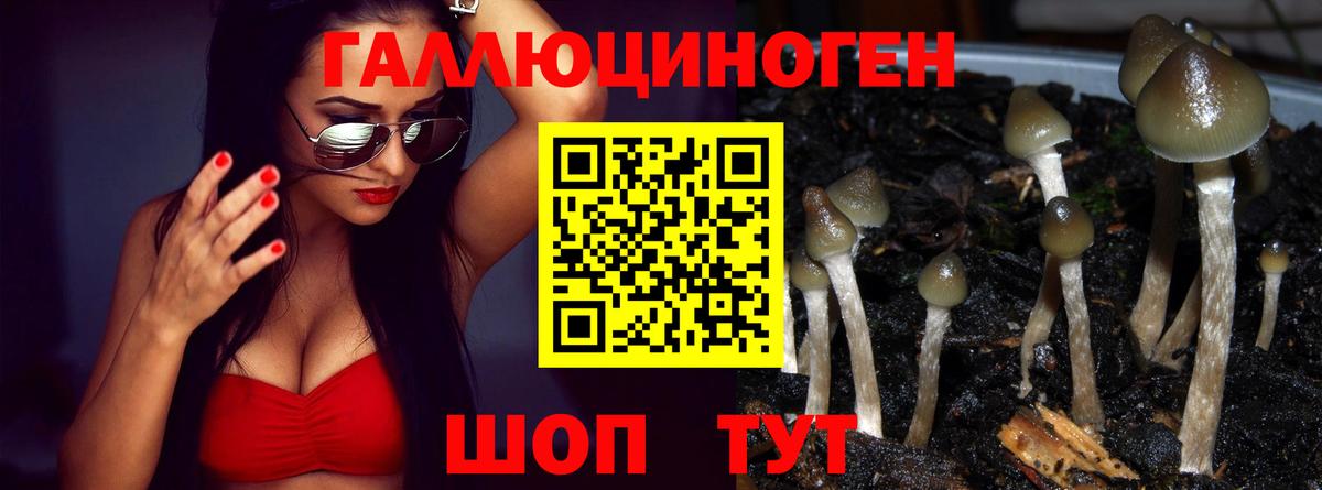 Альметьевск  Галлюциногенные грибы Psilocybine cubensis  Вход с VPN  Псилоцибиновые грибы Psilocybe 