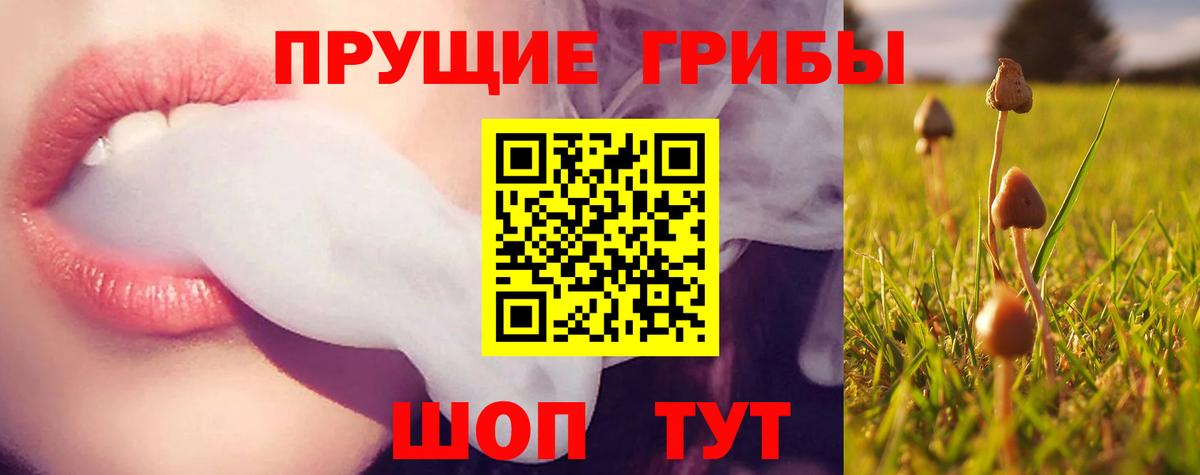 Псилоцибиновые грибы мицелий Альметьевск